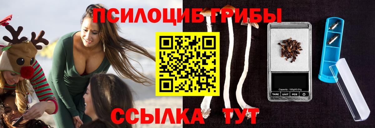 Псилоцибиновые грибы ЛСД Верхняя Пышма
